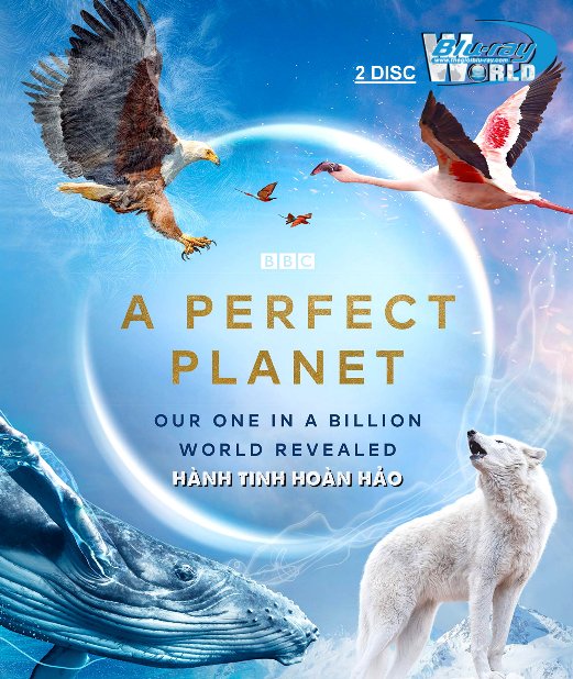 B4915. BBC  A Perfect Planet 2021 - Hành Tinh Tuyệt Vời 2D25G (2DISC) (DTS-HD MA 5.1)